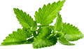 ddos在线攻击